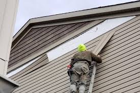 Best Vinyl Siding Installation  in Passapatanzy, VA